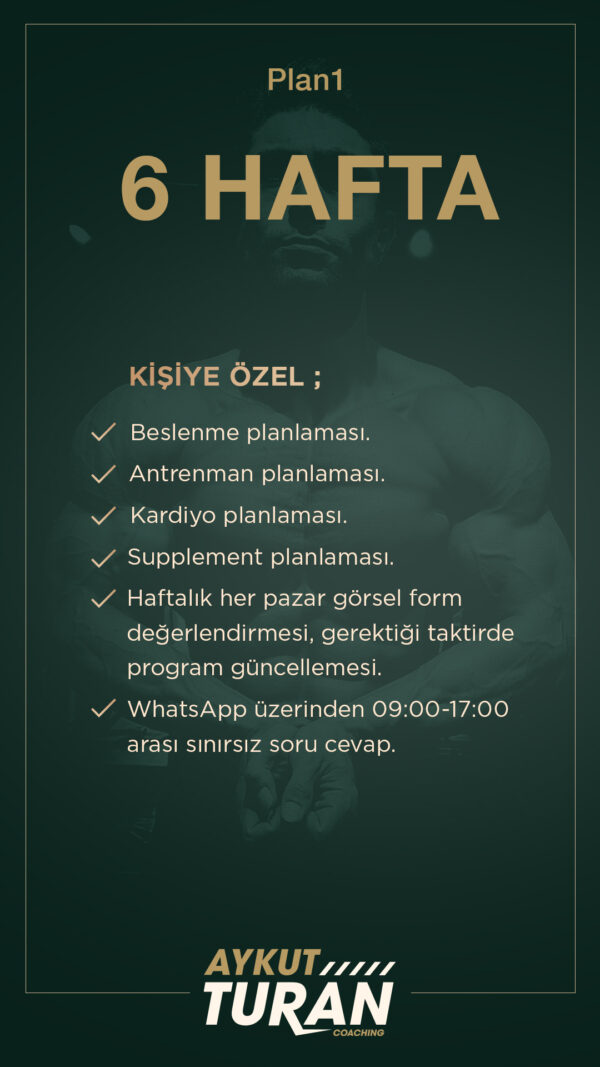 Plan1